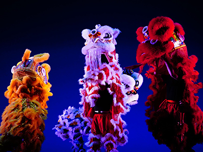 Lion Dance